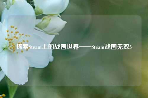 探索Steam上的战国世界——Steam战国无双5