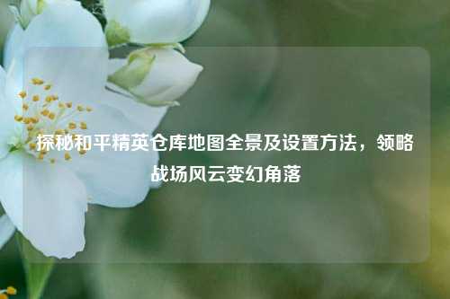 探秘和平精英仓库地图全景及设置方法,领略战场风云变幻角落