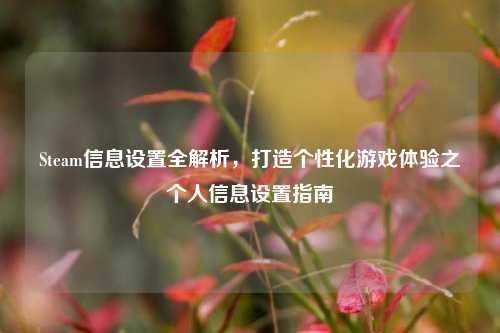Steam信息设置全解析，打造个性化游戏体验之个人信息设置指南