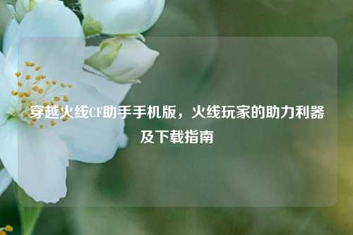 穿越火线CF助手手机版，火线玩家的助力利器及下载指南