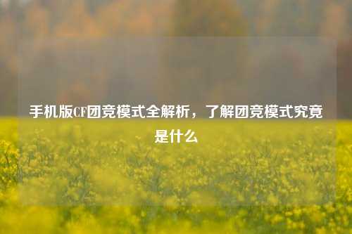 手机版CF团竞模式全解析,了解团竞模式究竟是什么