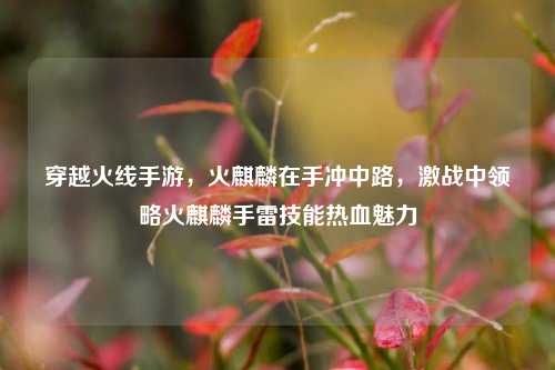 穿越火线手游,火麒麟在手冲中路,激战中领略火麒麟手雷技能热血魅力