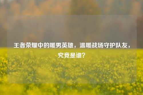 王者荣耀中的暖男英雄,温暖战场守护队友,究竟是谁?
