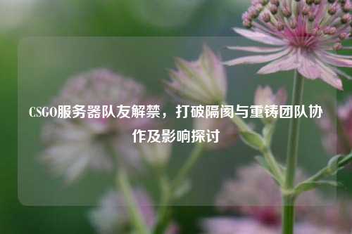 CSGO服务器队友解禁,打破隔阂与重铸团队协作及影响探讨