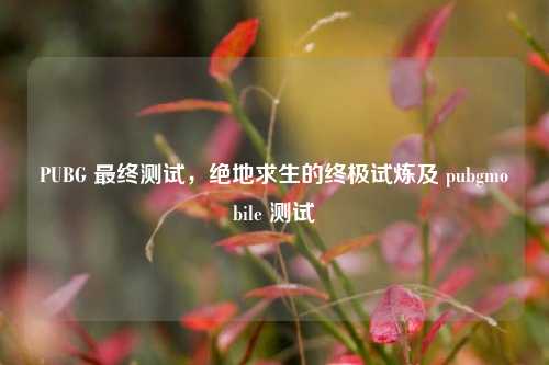 PUBG 最终测试，绝地求生的终极试炼及 pubgmobile 测试
