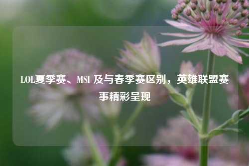LOL夏季赛、MSI 及与春季赛区别，英雄联盟赛事精彩呈现