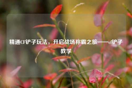 精通CF铲子玩法,开启战场称霸之旅——cf铲子教学