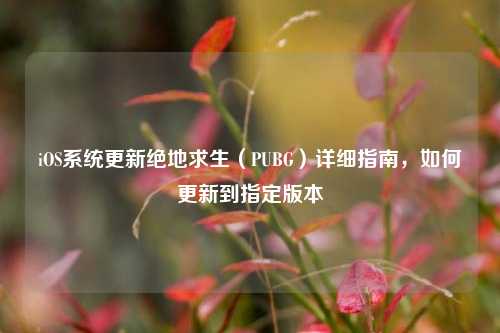 iOS系统更新绝地求生(PUBG)详细指南,如何更新到指定版本