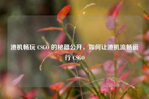 渣机畅玩 CSGO 的秘籍公开，如何让渣机流畅运行 CSGO