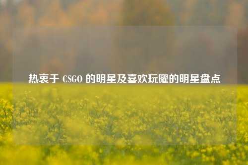 热衷于 CSGO 的明星及喜欢玩曜的明星盘点