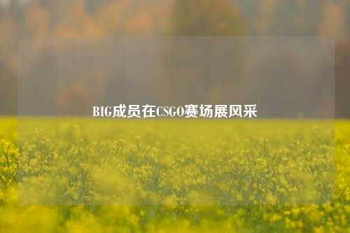 BIG成员在CSGO赛场展风采