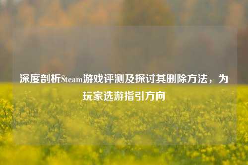 深度剖析Steam游戏评测及探讨其删除方法,为玩家选游指引方向