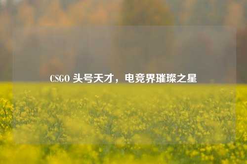 CSGO 头号天才，电竞界璀璨之星