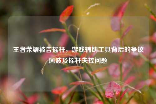王者荣耀被告摇杆，游戏辅助工具背后的争议风波及摇杆失控问题