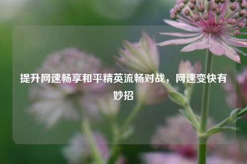 提升网速畅享和平精英流畅对战，网速变快有妙招