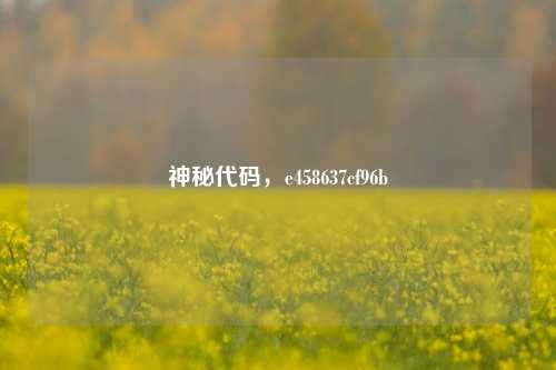 神秘代码,e458637cf96b