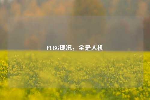 PUBG现况，全是人机
