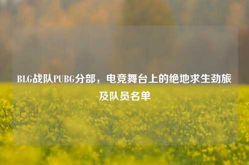 BLG战队PUBG分部，电竞舞台上的绝地求生劲旅及队员名单