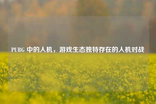 PUBG 中的人机,游戏生态独特存在的人机对战