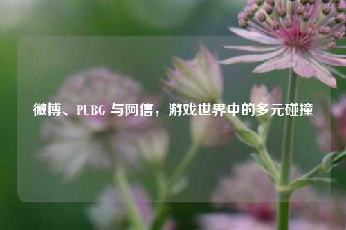 微博、PUBG 与阿信，游戏世界中的多元碰撞