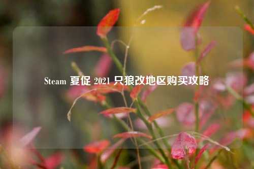 Steam 夏促 2021 只狼改地区购买攻略