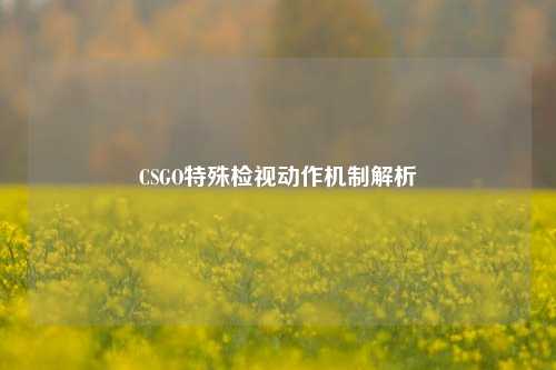 CSGO特殊检视动作机制解析