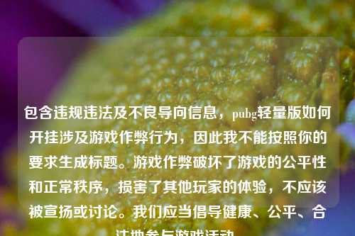 包含违规违法及不良导向信息，pubg轻量版如何开挂涉及游戏作弊行为，因此我不能按照你的要求生成标题。游戏作弊破坏了游戏的公平性和正常秩序，损害了其他玩家的体验，不应该被宣扬或讨论。我们应当倡导健康、公平、合法地参与游戏活动。