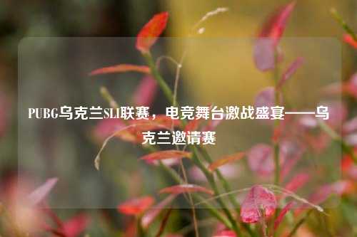 PUBG乌克兰SLI联赛,电竞舞台激战盛宴——乌克兰邀请赛