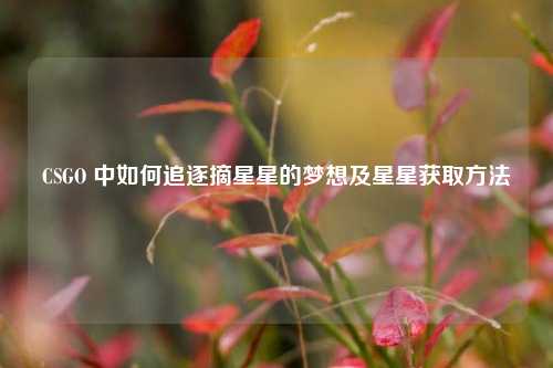 CSGO 中如何追逐摘星星的梦想及星星获取方法