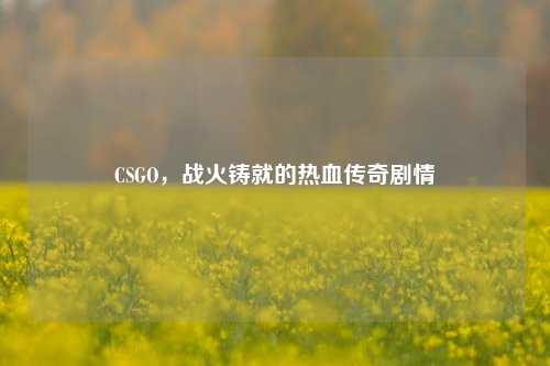 CSGO,战火铸就的热血传奇剧情