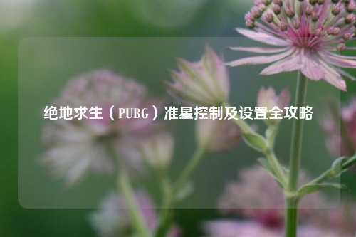 绝地求生（PUBG）准星控制及设置全攻略