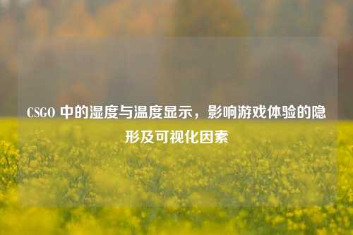 CSGO 中的湿度与温度显示，影响游戏体验的隐形及可视化因素
