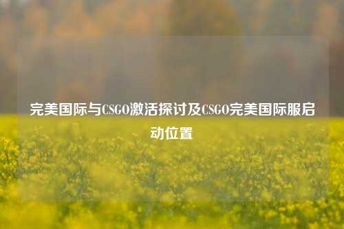 完美国际与CSGO激活探讨及CSGO完美国际服启动位置