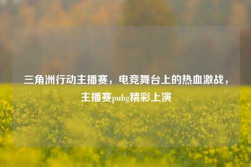 三角洲行动主播赛，电竞舞台上的热血激战，主播赛pubg精彩上演