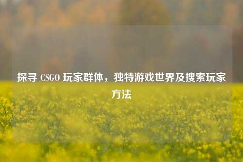 探寻 CSGO 玩家群体，独特游戏世界及搜索玩家方法