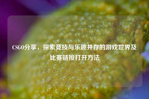 CSGO分享，探索竞技与乐趣并存的游戏世界及比赛链接打开方法