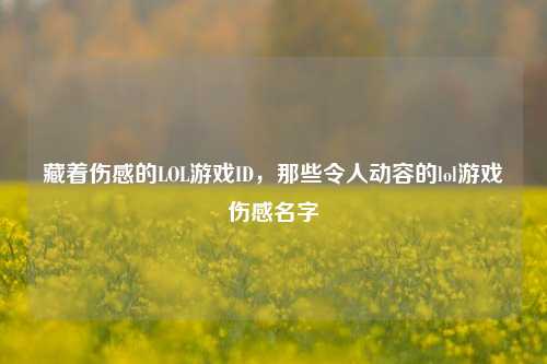 藏着伤感的LOL游戏ID，那些令人动容的lol游戏伤感名字