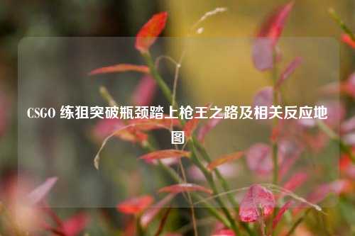 CSGO 练狙突破瓶颈踏上枪王之路及相关反应地图