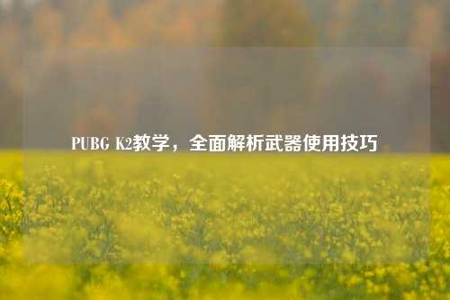 PUBG K2教学，全面解析武器使用技巧