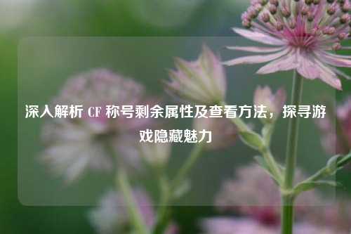深入解析 CF 称号剩余属性及查看方法，探寻游戏隐藏魅力
