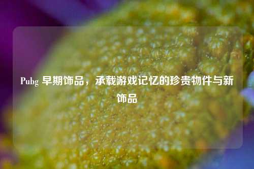 Pubg 早期饰品，承载游戏记忆的珍贵物件与新饰品
