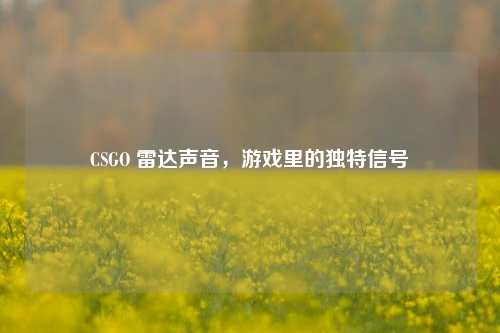 CSGO 雷达声音,游戏里的独特信号