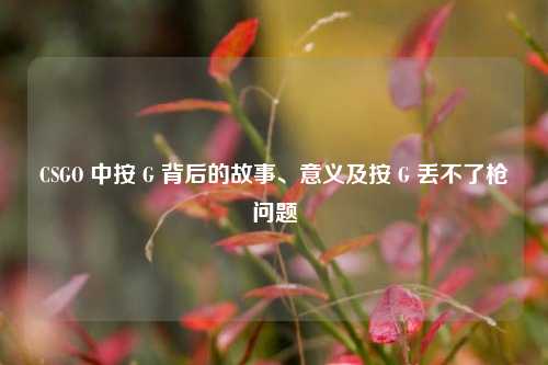 CSGO 中按 G 背后的故事、意义及按 G 丢不了枪问题