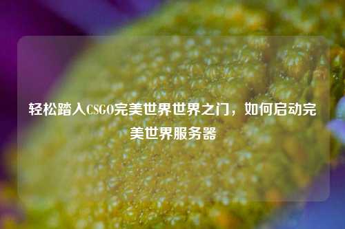 轻松踏入CSGO完美世界世界之门,如何启动完美世界服务器