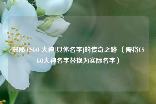 探秘 CSGO 大神[具体名字]的传奇之路 （需将CSGO大神名字替换为实际名字）