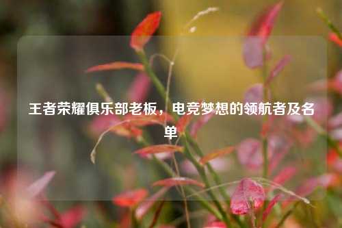 王者荣耀俱乐部老板，电竞梦想的领航者及名单