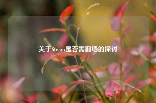 关于Steam是否需翻墙的探讨