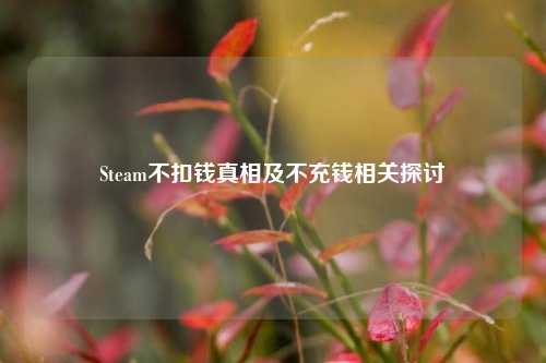 Steam不扣钱真相及不充钱相关探讨