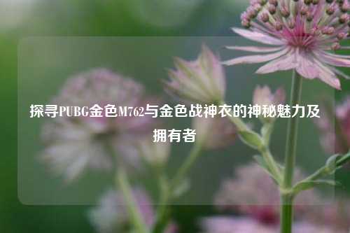 探寻PUBG金色M762与金色战神衣的神秘魅力及拥有者