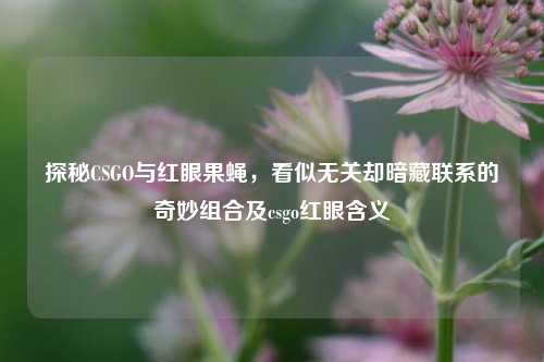 探秘CSGO与红眼果蝇，看似无关却暗藏联系的奇妙组合及csgo红眼含义